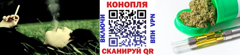 Бошки марихуана план  кракен   Шахунья  где продают наркотики 